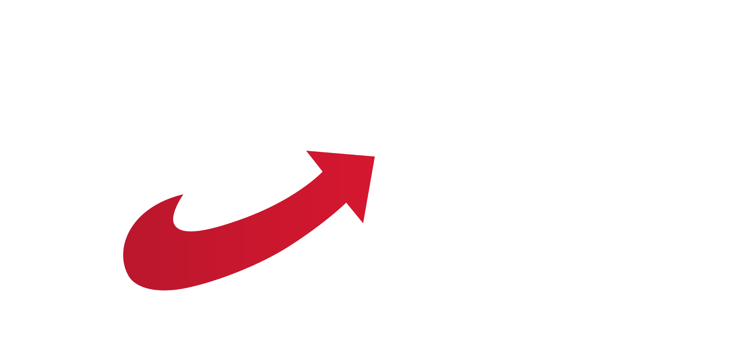 AfD Fraktion Riedsadt